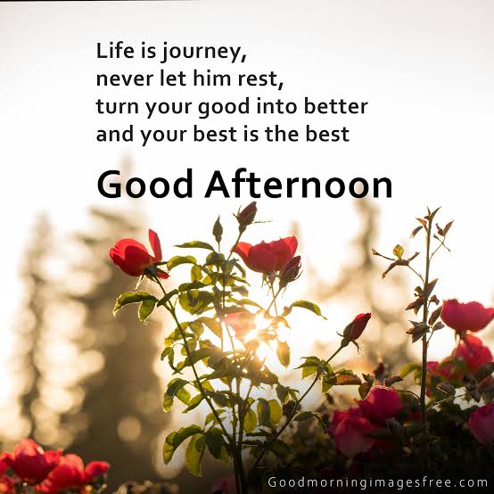 TradetTo_live3's tweet photo. Good afternoon everyone https://t.co/4wbf9XoNqu