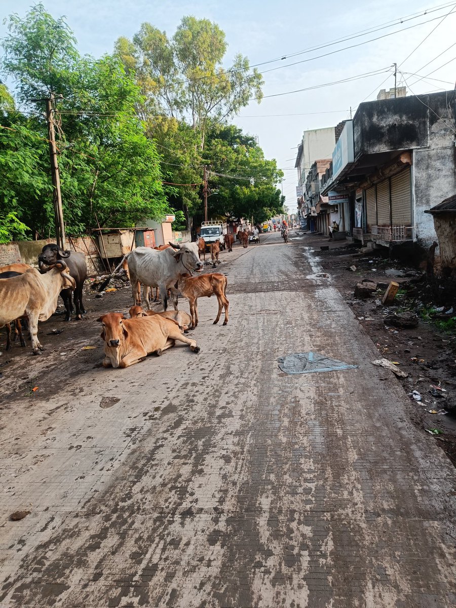 NavinPatel91's tweet photo. @CollectorAmr અમરેલી શહેર ની હાલત https://t.co/ty9bxxsHbO