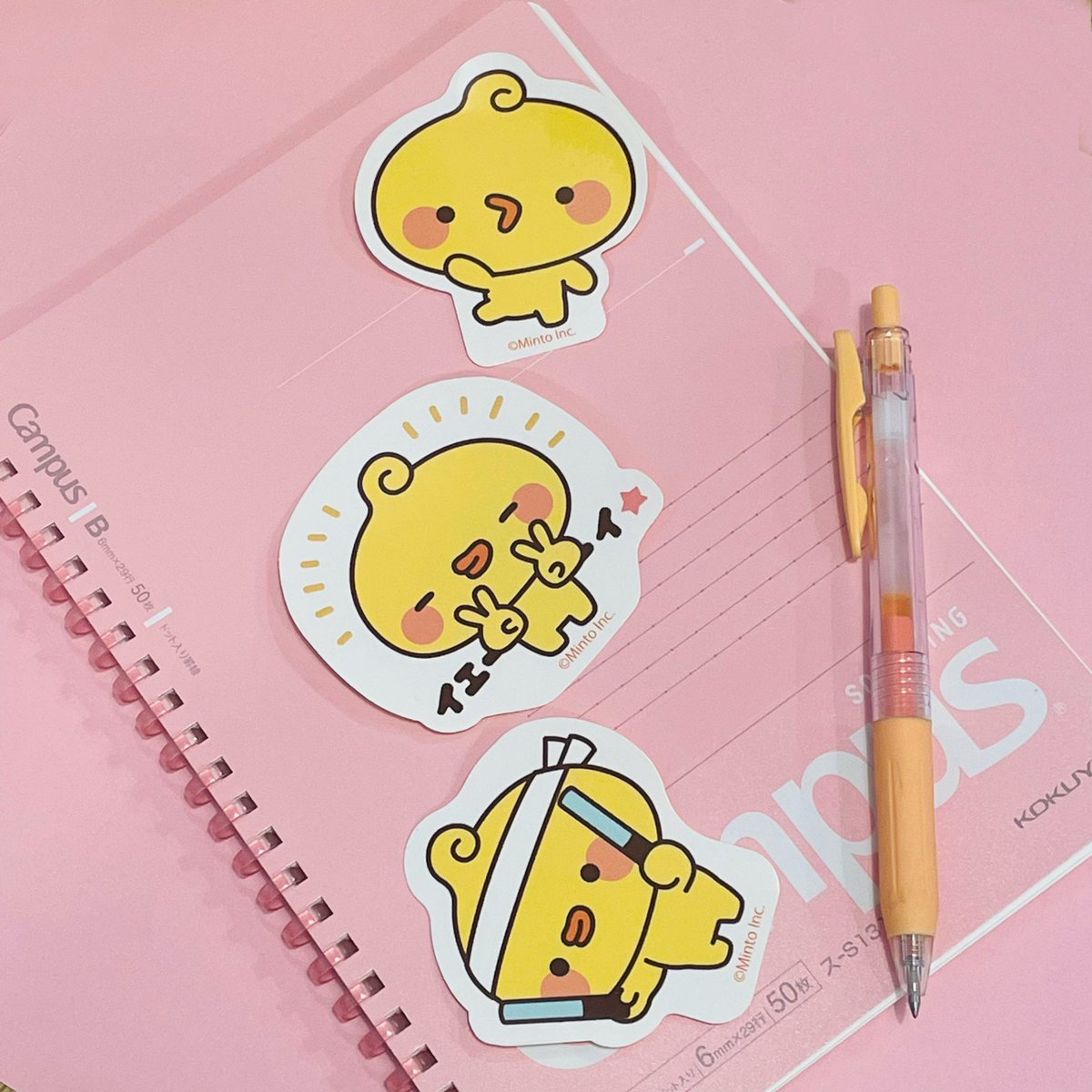 ぴよまる（official） (@piyomaru_jp) / Posts / X