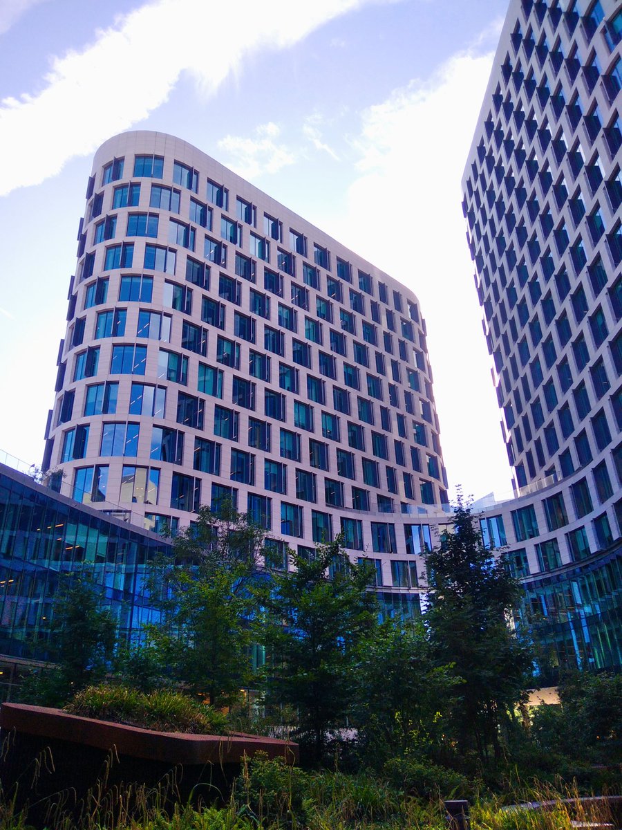 PapiMorgane's tweet image. 