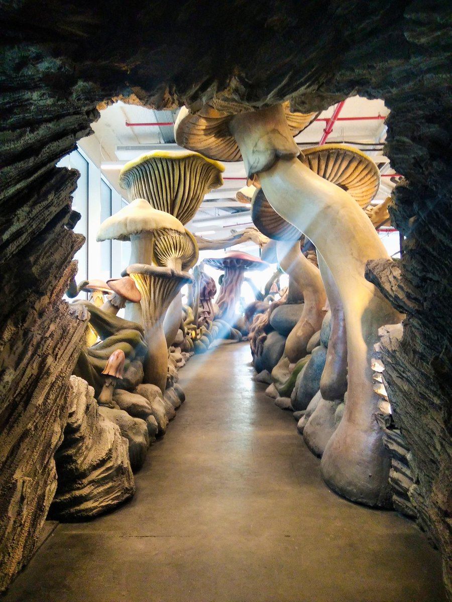 PapiMorgane's tweet image. 