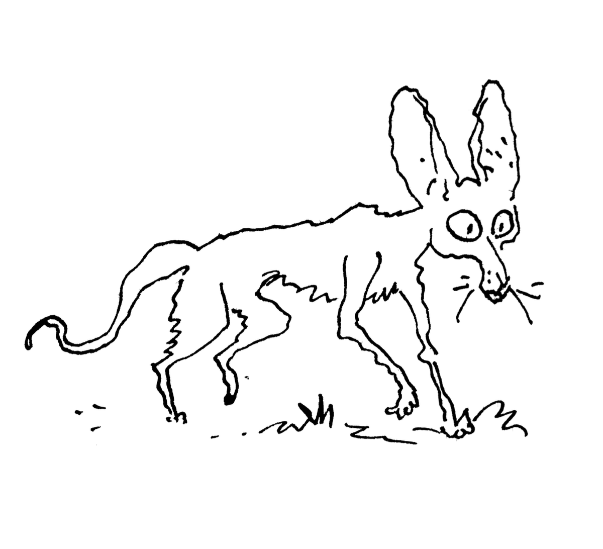Un chat, des chats... @joannsfar