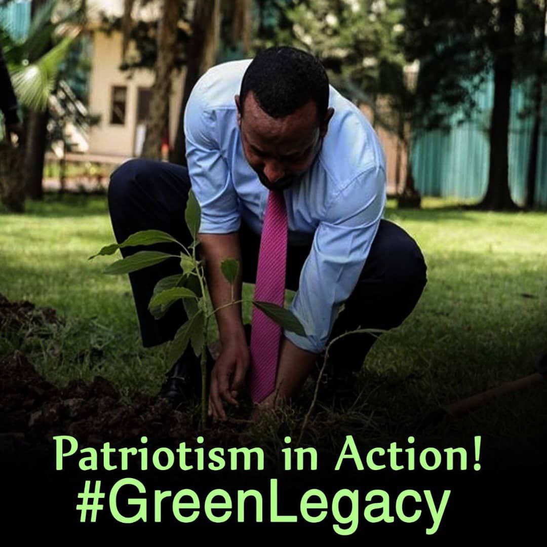 Yusuf Mohammed (@yusufmo79063780) on Twitter photo The plan to expand the green legacy to East Africa also showcases Ethiopia's vision to prosperity would be cascaded to its neighbors. #Green_Legacy #500_Million__Saplings <a href="/SamanthaJPower/">Samantha Power</a> <a href="/EUtoAU/">EU Delegation to AU</a> <a href="/Pontifex/">Pope Leo XIV</a> <a href="/PMOIndia/">PMO India</a> <a href="/ChinaEmbAddis/">Chinese Embassy in Ethiopia</a> The plan to expand the green legacy to East Africa also showcases Ethiopia's vision to prosperity would be cascaded to its neighbors. #Green_Legacy #500_Million__Saplings <a href="/SamanthaJPower/">Samantha Power</a> <a href="/EUtoAU/">EU Delegation to AU</a> <a href="/Pontifex/">Pope Leo XIV</a> <a href="/PMOIndia/">PMO India</a> <a href="/ChinaEmbAddis/">Chinese Embassy in Ethiopia</a>