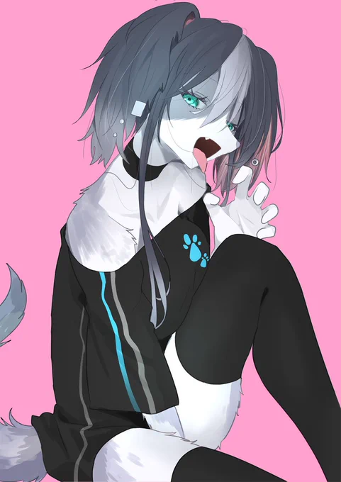 がおーッ#ケモノ #ボーダーコリー 