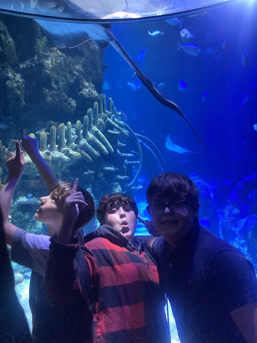 Elm class had a brilliant time at London Sea Life! 🐟 We’re heading off to Margate today!  <a href="/EEC_Elaine/">Elaine Education Centre</a> <a href="/PrimaryElaine/">Elaine Primary</a>