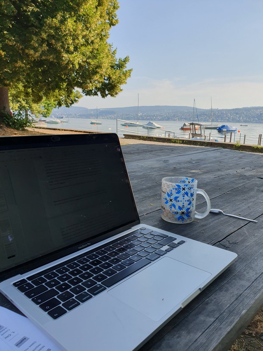 Perfect office! @limnostation #LakeZurich