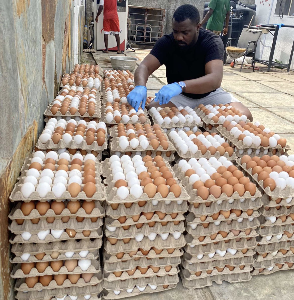 johndumelo's tweet photo. My fresh eggs arrived yesterday from the farm. Sold out within minutes. God is Good! Next batch will be ready next week Monday. #AgricisGold https://t.co/g5u2V7zzhw