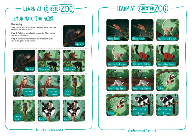 TEACHERS
The finish line's in sight! You can do it!👏

We know that it can be TOUGH planning activities for those final few lessons. Let us do the hard work for you 🏋️

We have LOADS of fun &amp; informative games &amp; activities that also embed conservation!

👉chesterzoo.org/schools/resour…