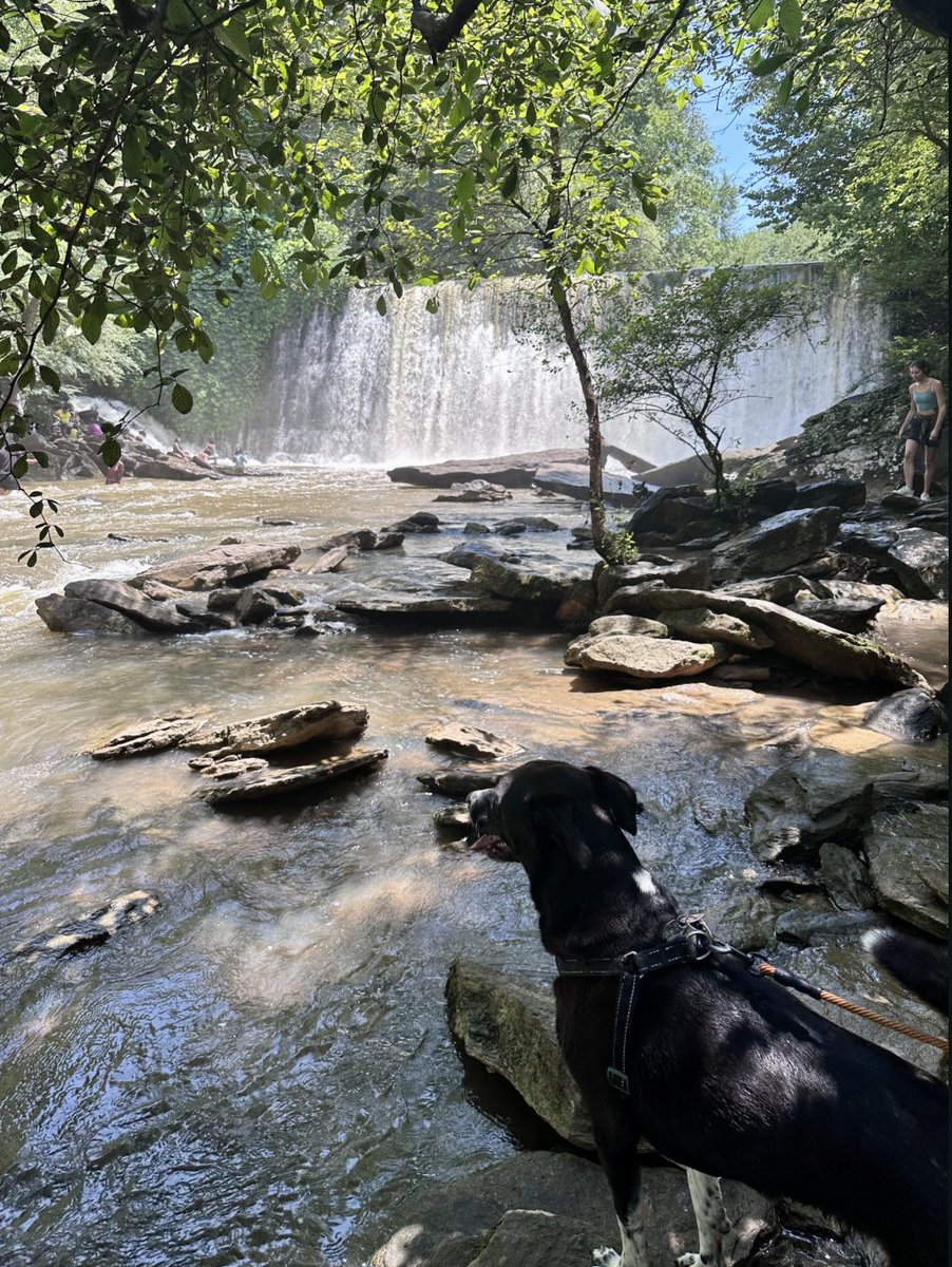 Beautiful Georgia tweet media