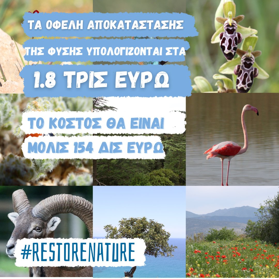 Terra Cypria (@terra_cypria) on Twitter photo 📢Ήρθε η ώρα να επενδύσουμε στη φύση ψηφίζοντας για την προστασία της!
Ψηφίστε θετικά για μια από τις καλύτερες δυνατές επενδύσεις!
#RestoreNature #NatureRestorationLaw
<a href="/DemPapadakis/">Demetris Papadakis</a> <a href="/loucas_fourlas/">Loucas Fourlas</a> <a href="/MavridesCostas/">Costas Mavrides</a> <a href="/NKizilyurek/">Niyazi Kızılyürek, MEP</a> <a href="/ggeorgiouMEP/">GiorgosKGeorgiou</a> 📢Ήρθε η ώρα να επενδύσουμε στη φύση ψηφίζοντας για την προστασία της!
Ψηφίστε θετικά για μια από τις καλύτερες δυνατές επενδύσεις!
#RestoreNature #NatureRestorationLaw
<a href="/DemPapadakis/">Demetris Papadakis</a> <a href="/loucas_fourlas/">Loucas Fourlas</a> <a href="/MavridesCostas/">Costas Mavrides</a> <a href="/NKizilyurek/">Niyazi Kızılyürek, MEP</a> <a href="/ggeorgiouMEP/">GiorgosKGeorgiou</a>