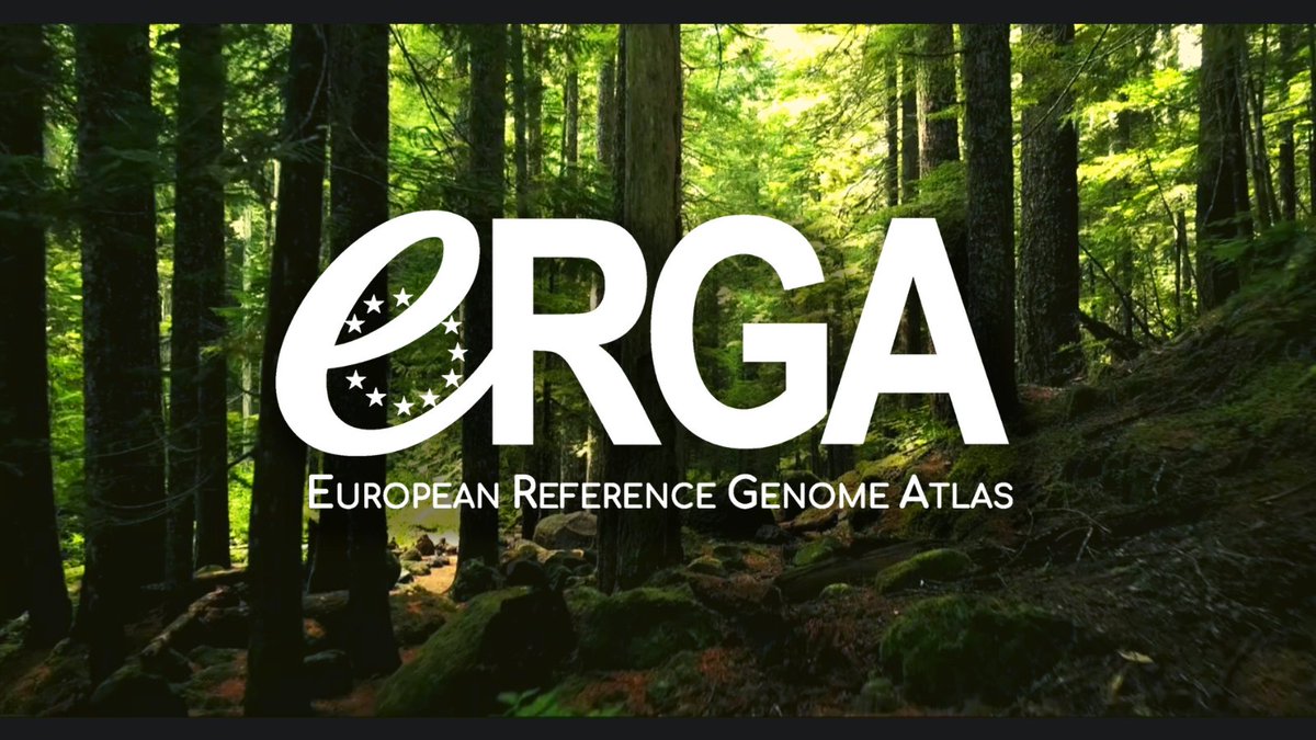 A correspondence piece announcing the main goals of the European Reference Genome Atlas initiative was just published in <a href="/Nature/">nature</a>!
nature.com/articles/d4158…

Join our mission as we work to enable the production of reference #genomes of European eukaryotic #Biodiversity at scale