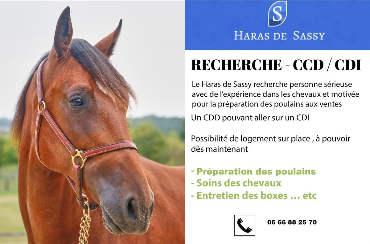 Haras De Sassy tweet media