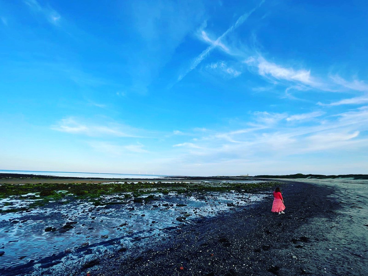 theseaglasscom1's tweet photo. My favourite place and the main source of my sea glass. #seaglass #seaglasshunting #newbigginbythesea https://t.co/2xCGPwnCfq
