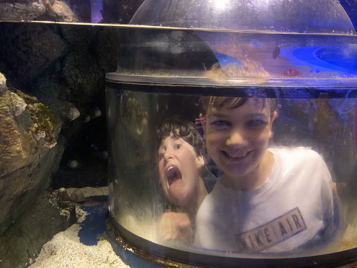 The children loved exploring the insects in the rainforest area! 🐜<a href="/EEC_Elaine/">Elaine Education Centre</a> <a href="/PrimaryElaine/">Elaine Primary</a>