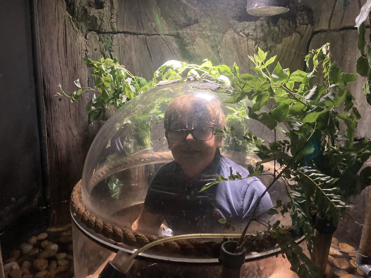 ElmEPS's tweet photo. The children loved exploring the insects in the rainforest area! 🐜@EEC_Elaine @PrimaryElaine https://t.co/Jj6luQfsGR