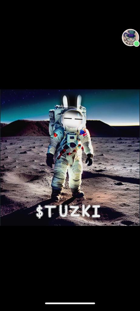 Rabbit2023White's tweet photo. @TUZKI_COIN @CUKURTG @Maxine686 @AlekseyNefedov_ $TUZKI #TUZKIARMY https://t.co/bBpbNMWDOe