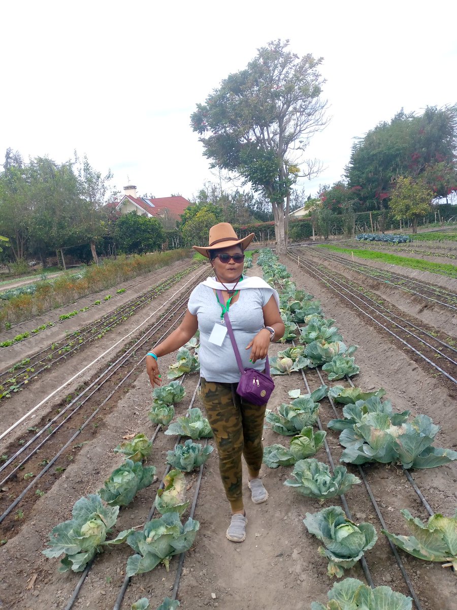 Dikalia7's tweet photo. I refuse to be a victim
#NSSJ3
#Climatejusticeschool https://t.co/IUmSMXVNme