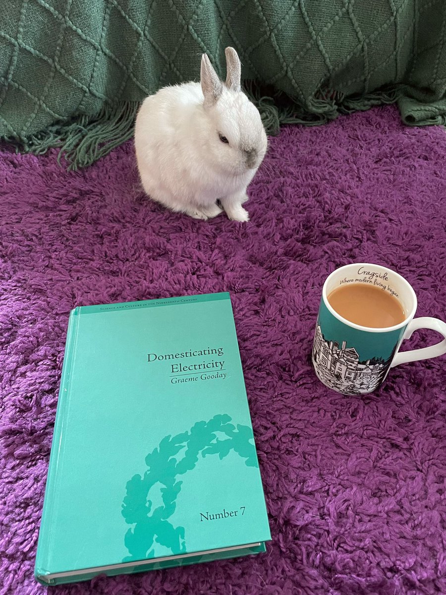 lydvicmont's tweet photo. My trusty dissertation research assistant https://t.co/MjngH6FahQ