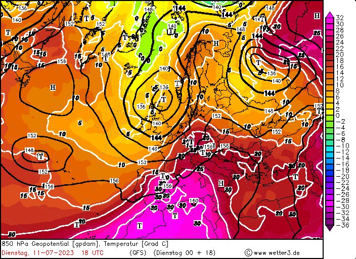 Miquel Salamanca tweet media