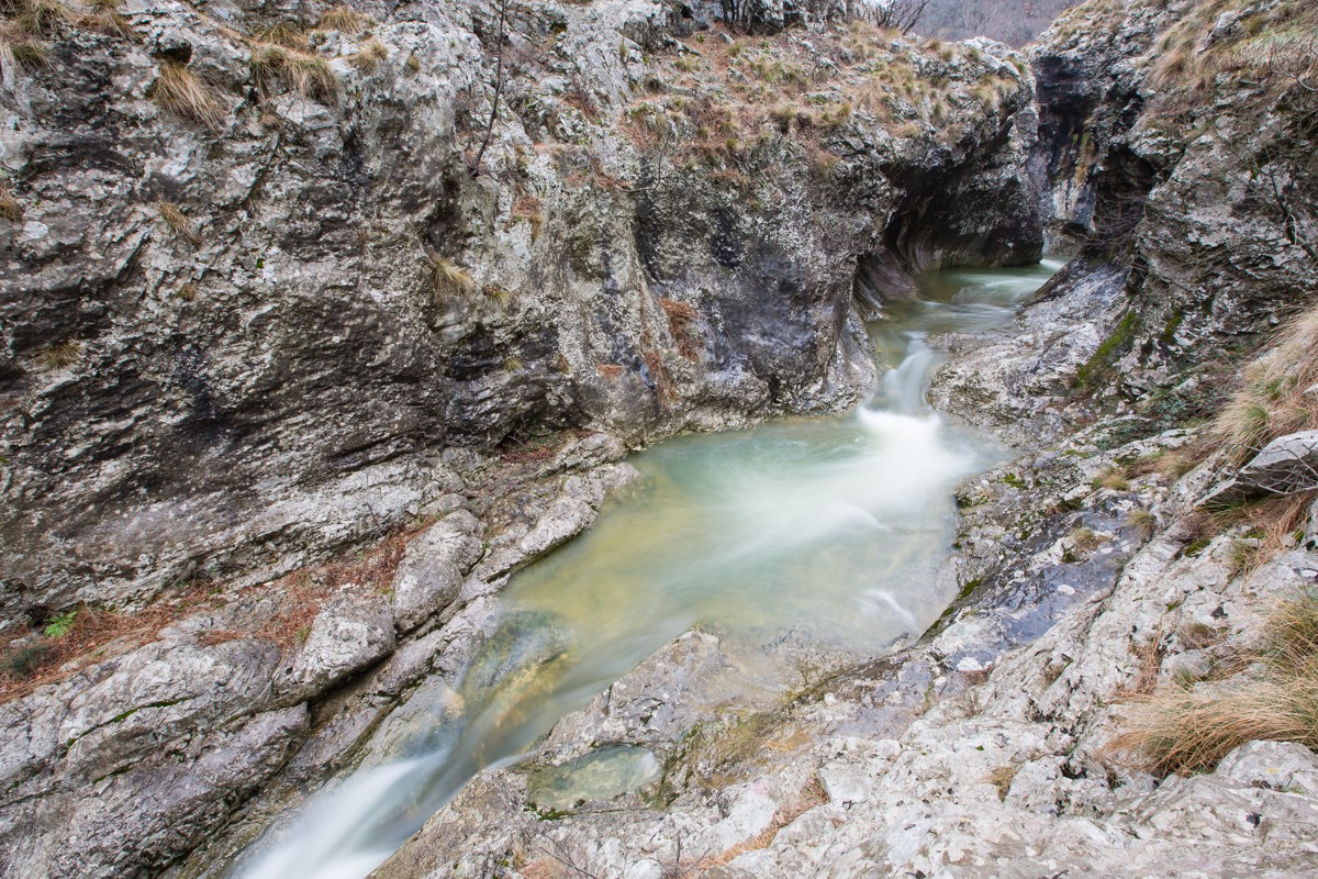 regioneFVGit's tweet image. 🧐 E’ una delle riserve più affascinanti del #FVG la Val Rosandra che si sviluppa nel Comune di San Dorligo della Valle, a pochi chilometri da #Trieste, a ridosso del confine con la vicina Slovenia.
👉 Scopri di più riservavalrosandra-glinscica.it