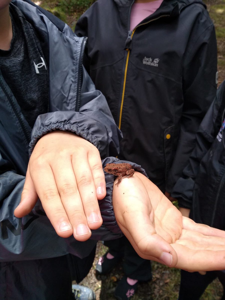 Rainhill St Ann's tweet media