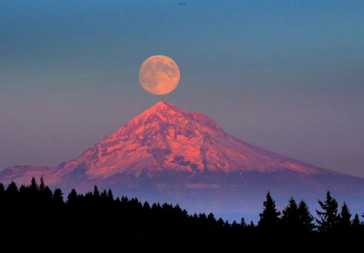 Dedicated2Eve's tweet image. A Truly Harsh System — but it IS magnificent nonetheless—it’s just currently ‘shifting’ and it’s a painful rollercoaster as warned and intended! 
#DivineLessons Brutal &amp;amp; Fair 
My God is La Karma in action!
And Mother Nature I worship!