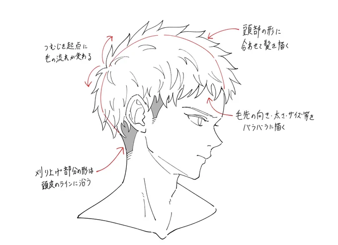 短髪を描くときのポイントメモです。