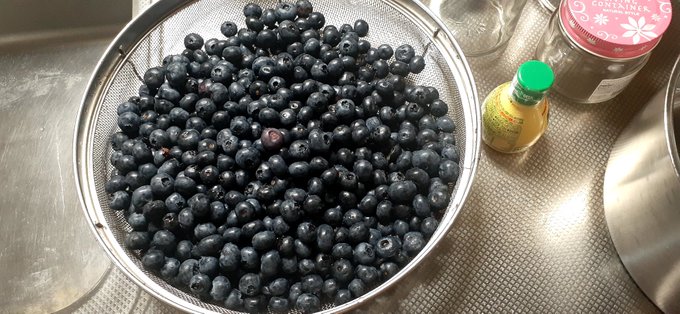 農家の友人から頂いたブルーベリーでジャム作って見た レシピ 材料 ブルーベリー適当 砂糖結構いっぱい、ドバーって感じ レモン汁適当 https://t.co/VsXvWmw0Xu