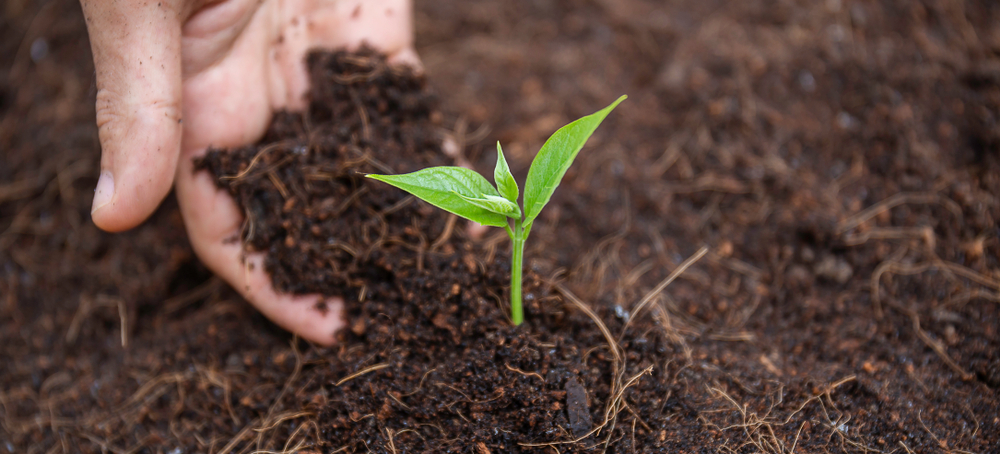 FarmPlusNL's tweet image. Vanaf dit seizoen bieden we een vernieuwde manier aan om de bodem in kaart te brengen: #Interra bodemscan van @Syngenta_BNL! Deze #bodemscanner brengt in hoge resolutie voor maximaal 27 informatielagen de gezondheid van de bodem in kaart🔍 Meer weten? 👉bit.ly/3DaNUwQ