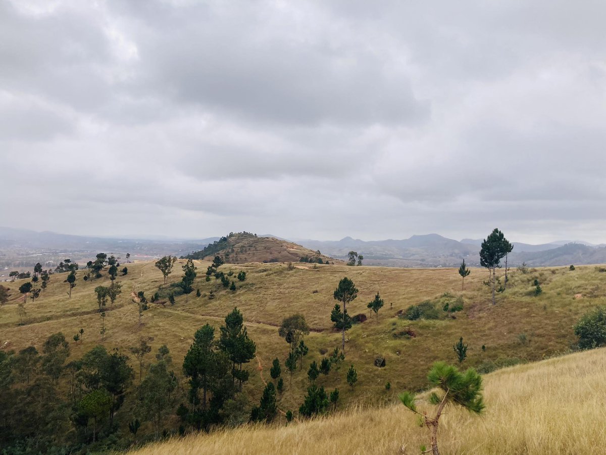 triptomada's tweet photo. Notre randonnée à Ivato 🇲🇬👣🌻🌳🌱 #randonnée #positivevibe #nature #voyage #decouverte #ecotourisme #toursmedomestique #tweetvoyage #follow #madagascar #ivato https://t.co/JWvQjDmUJi