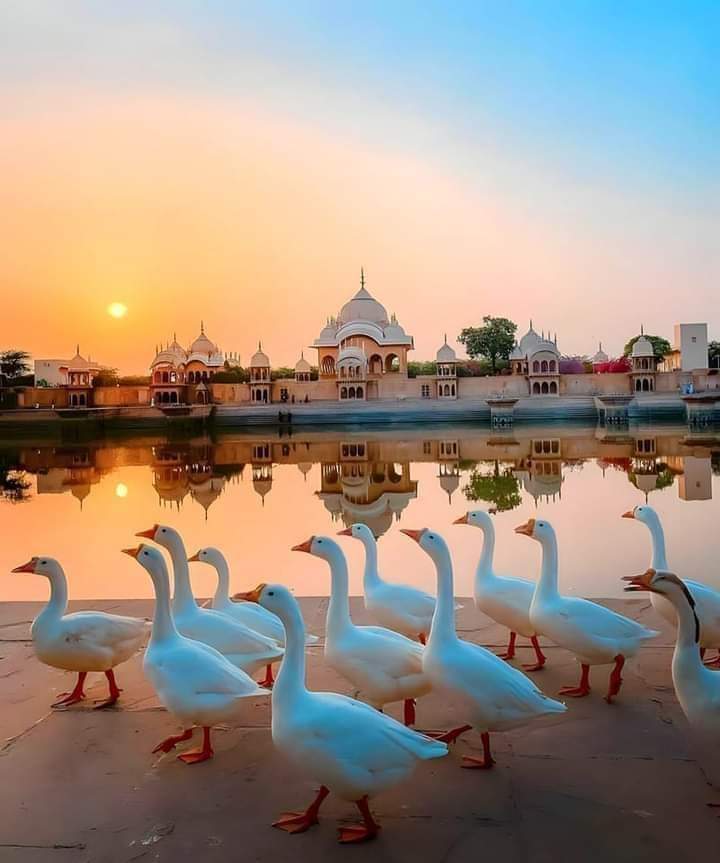 महाराजा सूरजमल छतरी (कुसुम सरोवर)