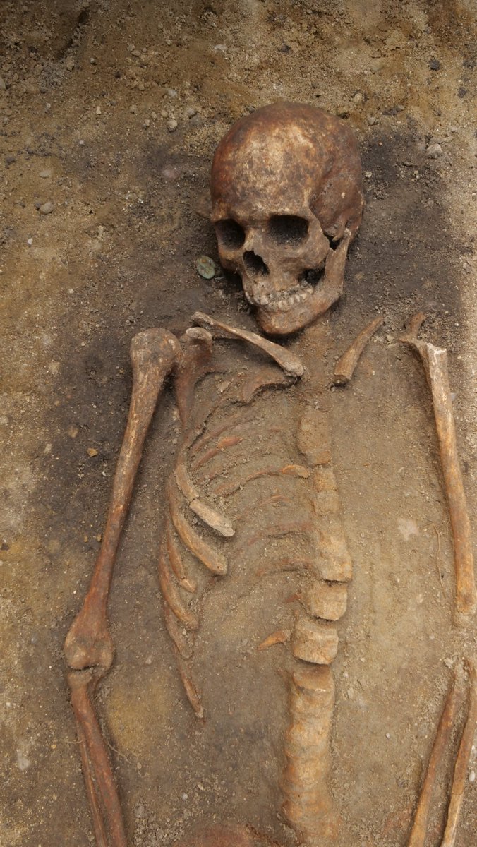 Akademie_ved_CR's tweet photo. 🏹 Korálky, ozdobné spony, mince, ale také zbraně jako například šípy a kopí. 

💠 Takové artefakty našli archeologové ukryté v hrobech příslušníků vládnoucí elity germánských Langobardů na jižní Moravě. Tým @ARUBrno odhalil dosud neznámou část pohřebního areálu v lokalitě Mušov-Roviny, datovaného do první poloviny 6. století.

Čtěte 👉 https://t.co/dw80vVrII0