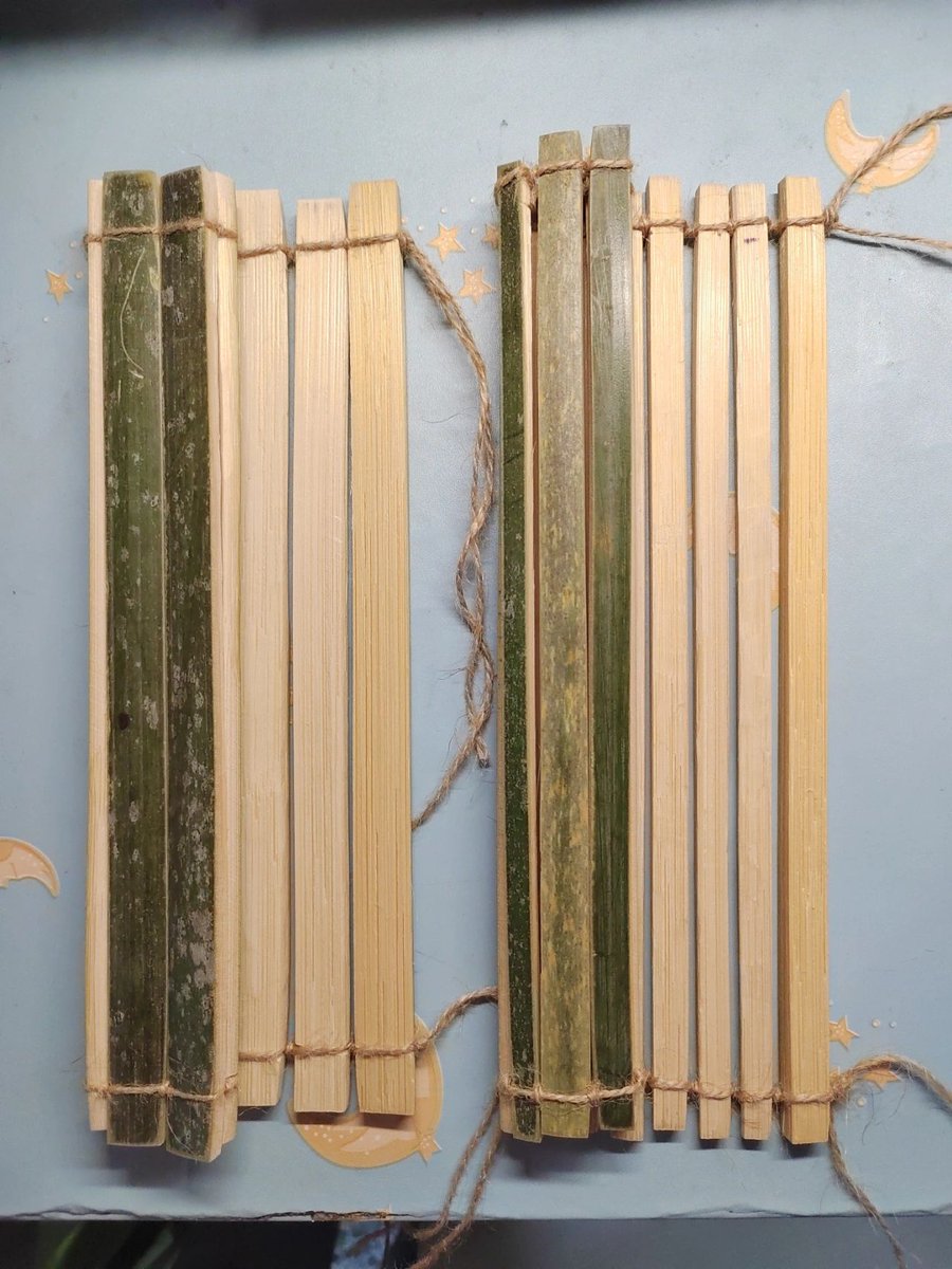 张蔓蔓 tweet media