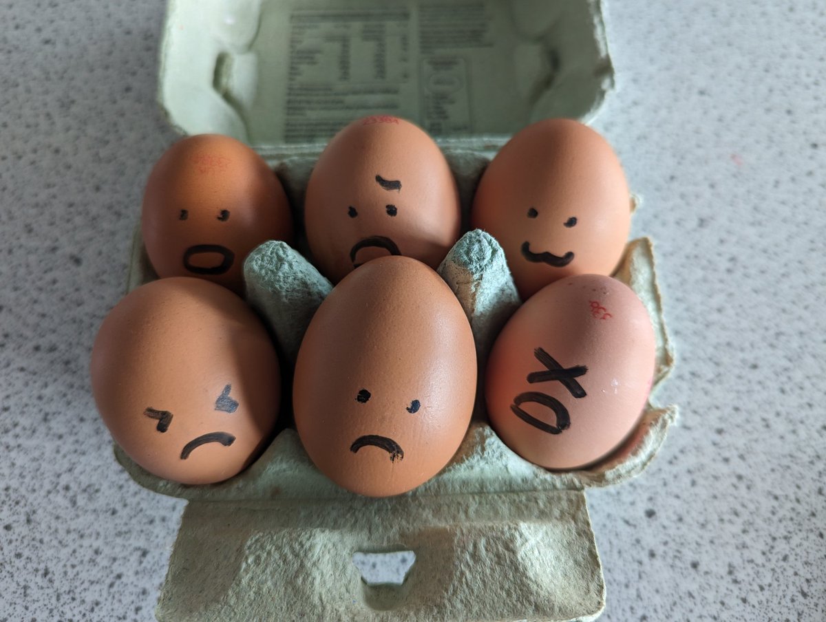 After successfully launching water rockets we are now designing ejector seats. Will the eggs survive?