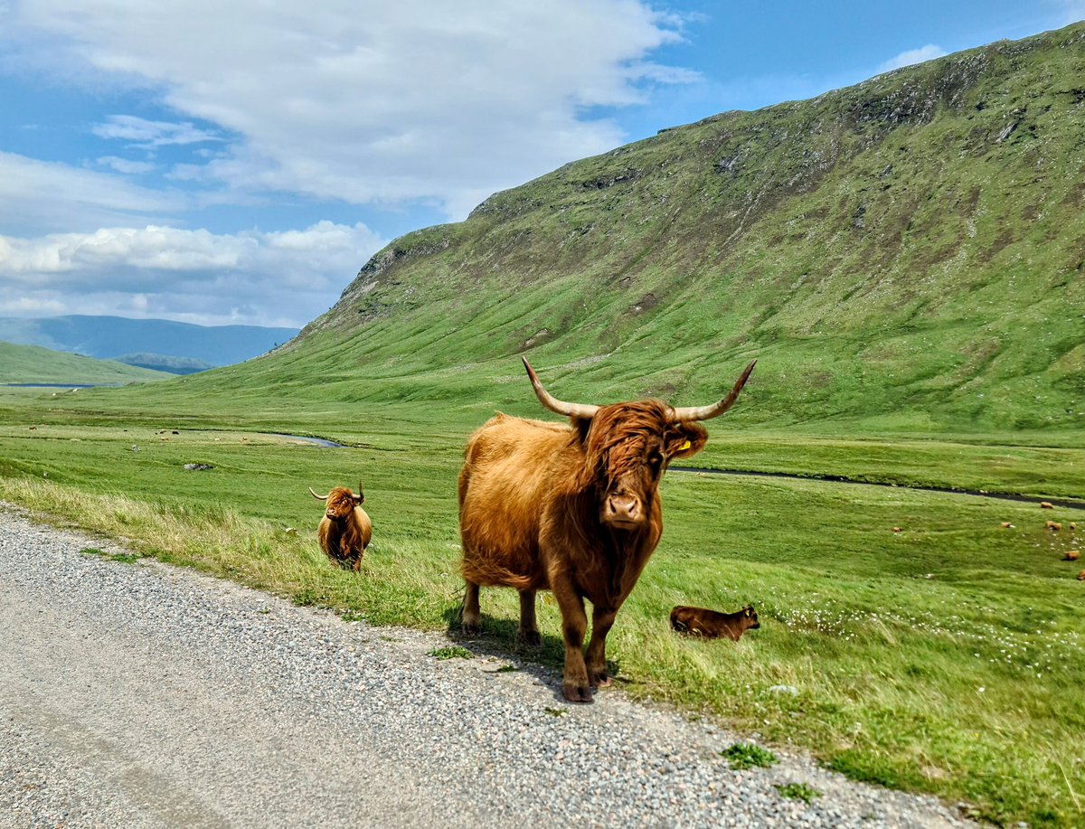slaing88's tweet photo. @WindyWilson88 Happy Coosday from Corrour. https://t.co/i4hoq8iulo