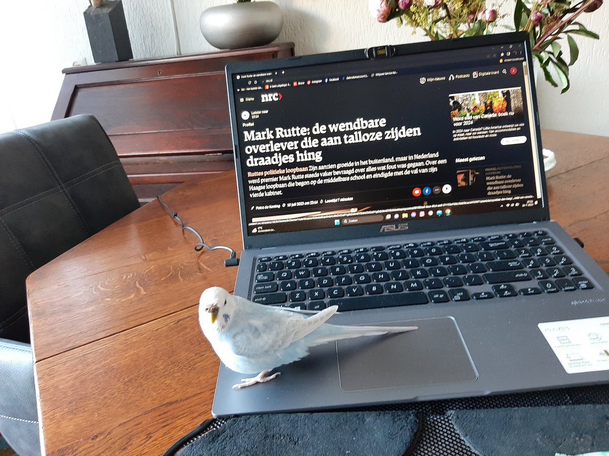 joop_kreeft's tweet photo. Onze loge is ook geïnteresseerd in het nieuws... https://t.co/0H5bqSfIGm