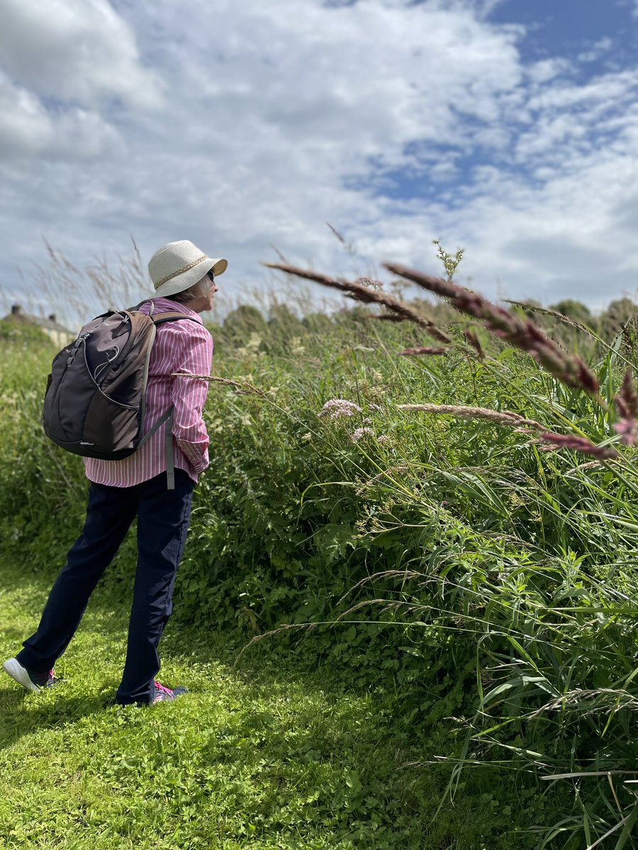 janeyoungart's tweet photo. Exhibition planning in progress! Some pics from session 10 exploring the self reported benefits of nature based creative practice. #greenspacesocialprescribing #walking #art #artexhibition 16th July 12-4 in Scarth Hall, Staindrop. Everyone is welcome. https://t.co/9aHRXjTPXC