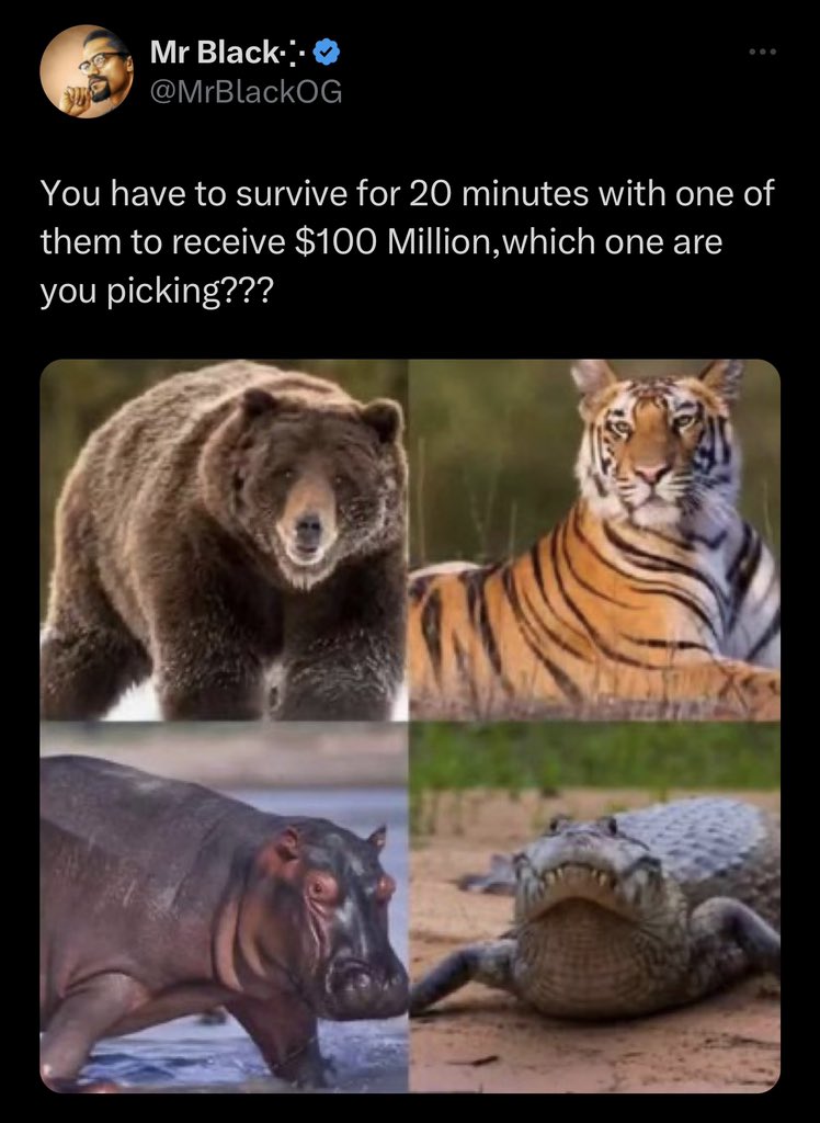 What’s it going to be?