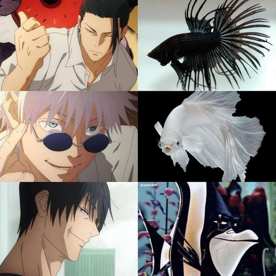 AnimexTwts's tweet photo. Parallels https://t.co/pjUkQQzmJo