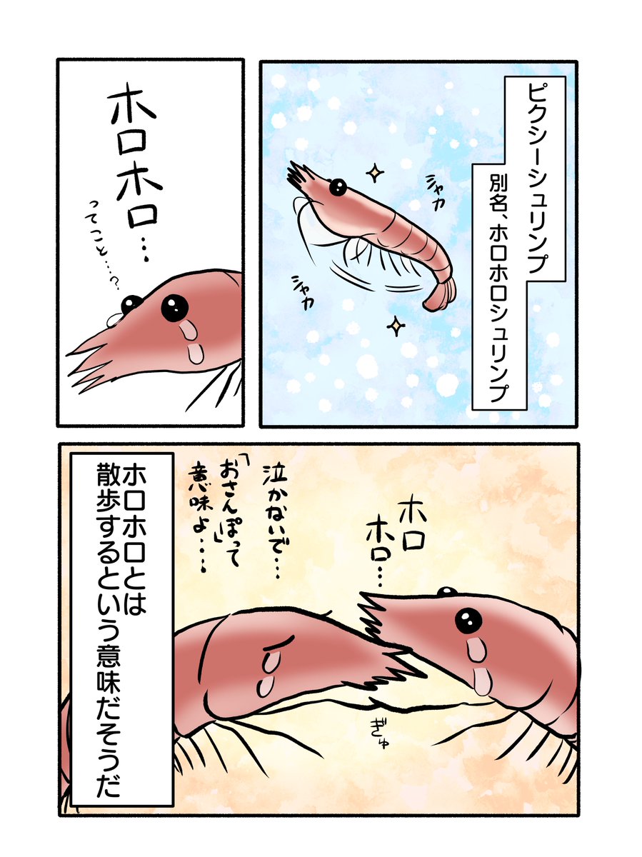 ピクシーシュリンプちゃん飼い始めました漫画 