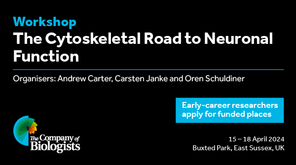 The Company of Biologists (@co_biologists) on Twitter photo Funded early-career researcher places available at our 'The Cytoskeletal Road to Neuronal Function' Workshop, organised by Andrew Carter <a href="/Carter_Lab/">Carter Lab</a>, Carsten Janke <a href="/CarstenJanke/">Janke Lab 🇪🇺</a> and Oren Schuldiner <a href="/lab_oren/">Oren Schuldiner's Lab</a>. Find out more and apply at biologists.com/workshops/apri…
#BiologistsWorkshops Funded early-career researcher places available at our 'The Cytoskeletal Road to Neuronal Function' Workshop, organised by Andrew Carter <a href="/Carter_Lab/">Carter Lab</a>, Carsten Janke <a href="/CarstenJanke/">Janke Lab 🇪🇺</a> and Oren Schuldiner <a href="/lab_oren/">Oren Schuldiner's Lab</a>. Find out more and apply at biologists.com/workshops/apri…
#BiologistsWorkshops