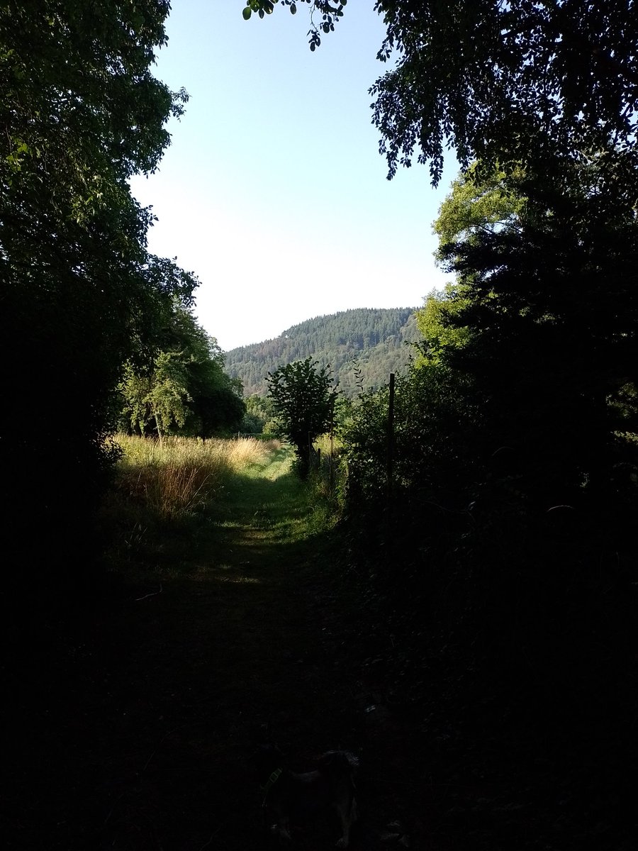 't Hondje uitgelaten, wat een pracht omgeving toch! Rissbach.