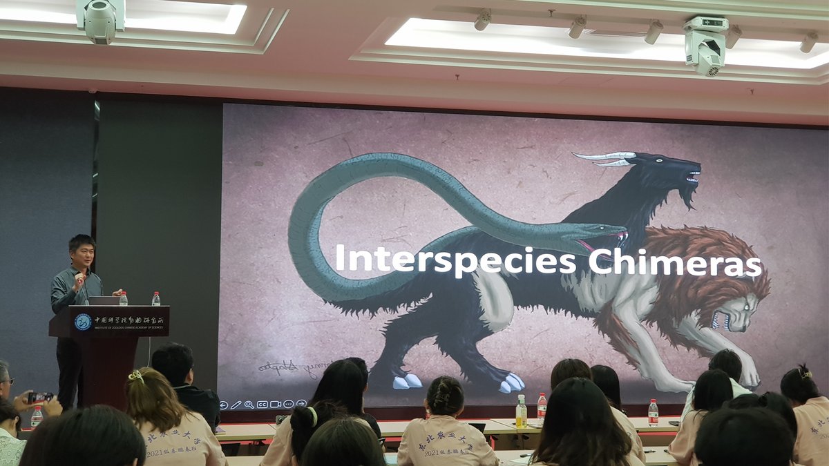 BISCRM's tweet photo. Thanks to Professor Jun Wu @leo_jwu for the brilliant talk at our SRLab Life Science Forum, lead to overcrowding on site. May I say all the pictures in his slides are stunning? https://t.co/w0MCg6TFfP