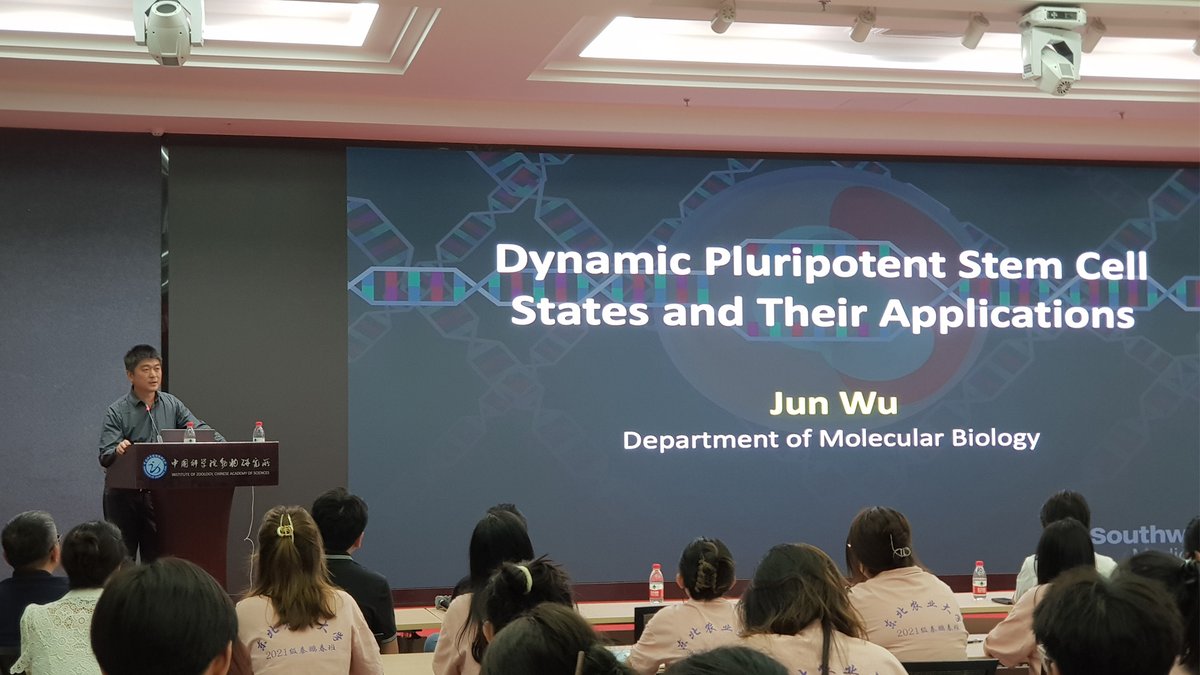 BISCRM's tweet photo. Thanks to Professor Jun Wu @leo_jwu for the brilliant talk at our SRLab Life Science Forum, lead to overcrowding on site. May I say all the pictures in his slides are stunning? https://t.co/w0MCg6TFfP