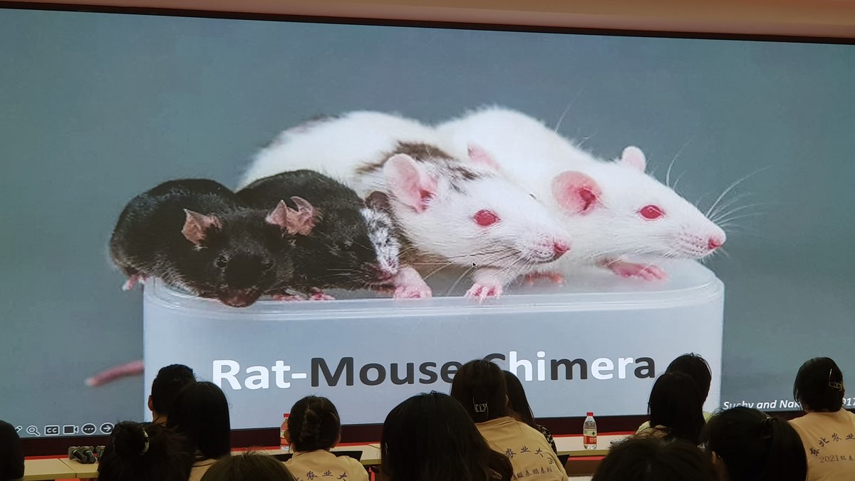 BISCRM's tweet photo. Thanks to Professor Jun Wu @leo_jwu for the brilliant talk at our SRLab Life Science Forum, lead to overcrowding on site. May I say all the pictures in his slides are stunning? https://t.co/w0MCg6TFfP