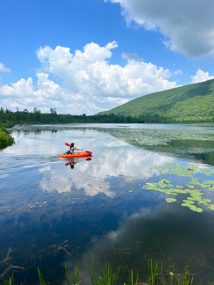 CNYCentral's tweet image. Talk about a perfect day for kayaking on Labrador Pond (📸: Brenda Colella). Keep the photos coming! Share your photos with us here: CNYCentral.com/ChimeIn
#CaptureCNY #labradorpond #labradorhollow #tully #tullyny #kayak #kayaking #nature #cny #centralny #centralnewyork #iloveny