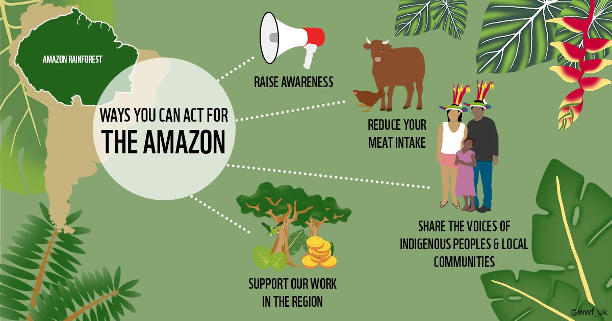 Make the most of #AmazonPrimeDay - by raising awareness about the Amazon rainforest.
The region is at risk of reaching an irreversible tipping point if we do not ease the pressures it faces from unsustainable systems of consumption. So share this – it’s the best deal of the day.