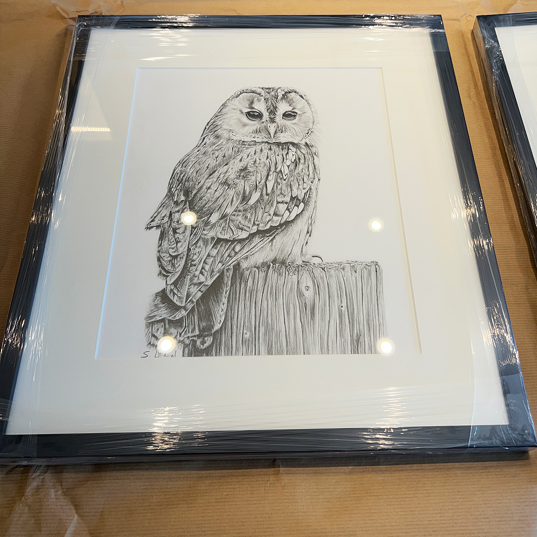 SusannahWeiland's tweet photo. I was excited to drop of these two drawings which I have had selected for the Atelier OPEN exhibition at Atelier Beside the Sea in Brighton.

280 works by 150 artists. Open 11am-5pm every day from 14th July - 3rd September.

#atelieropen #Pencildrawing https://t.co/k1GiskXq34