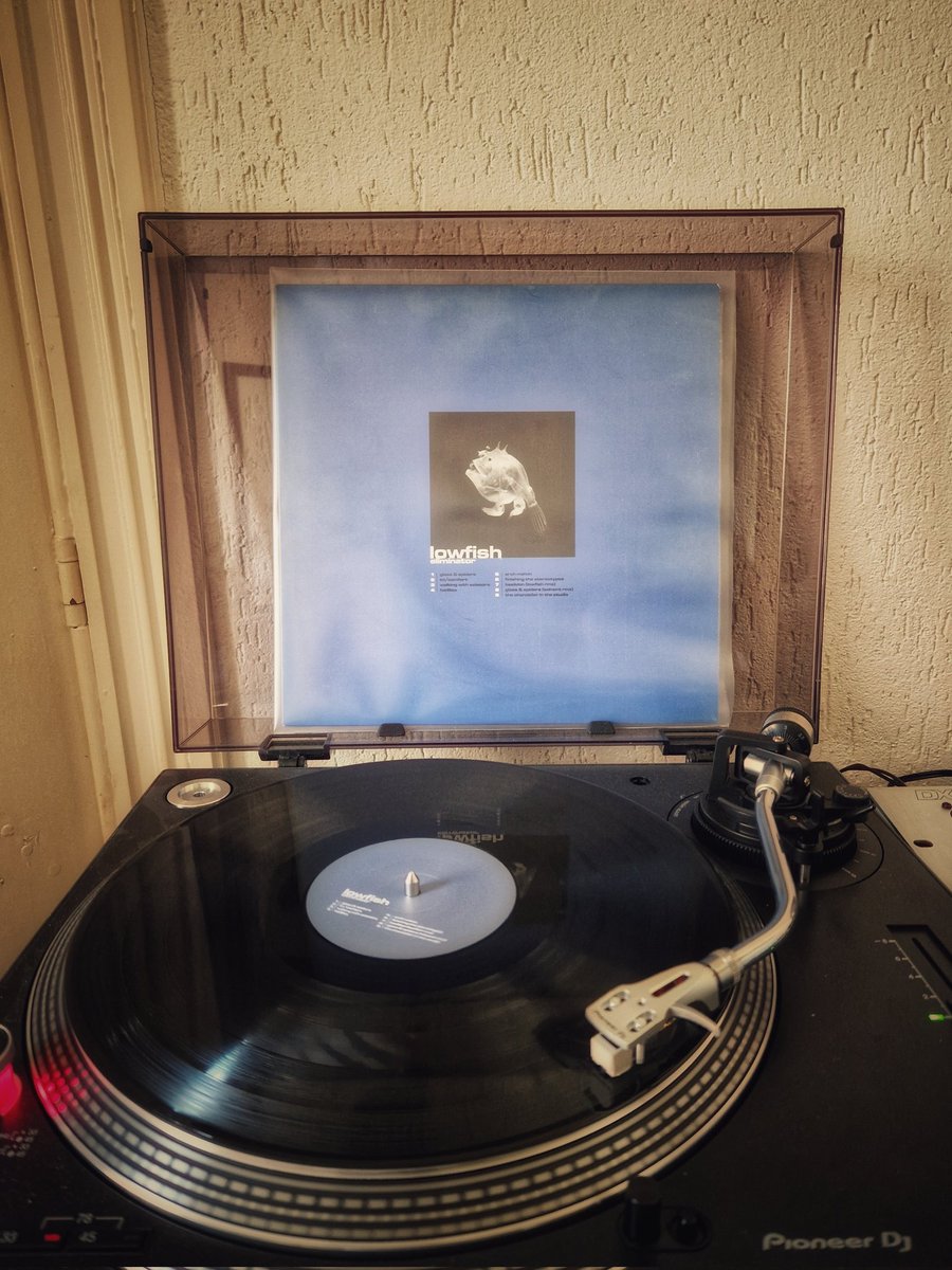 autumna. tweet media