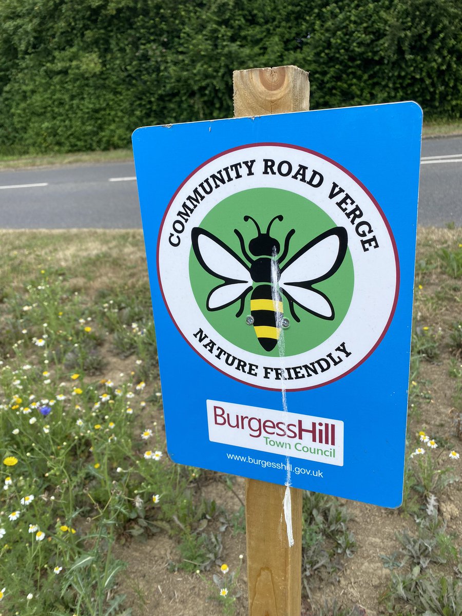 FOBHGCN's tweet photo. Community road verge, Sussex Way, Burgess Hill this morning! @BurgessHillTC https://t.co/5kVFrl95rg